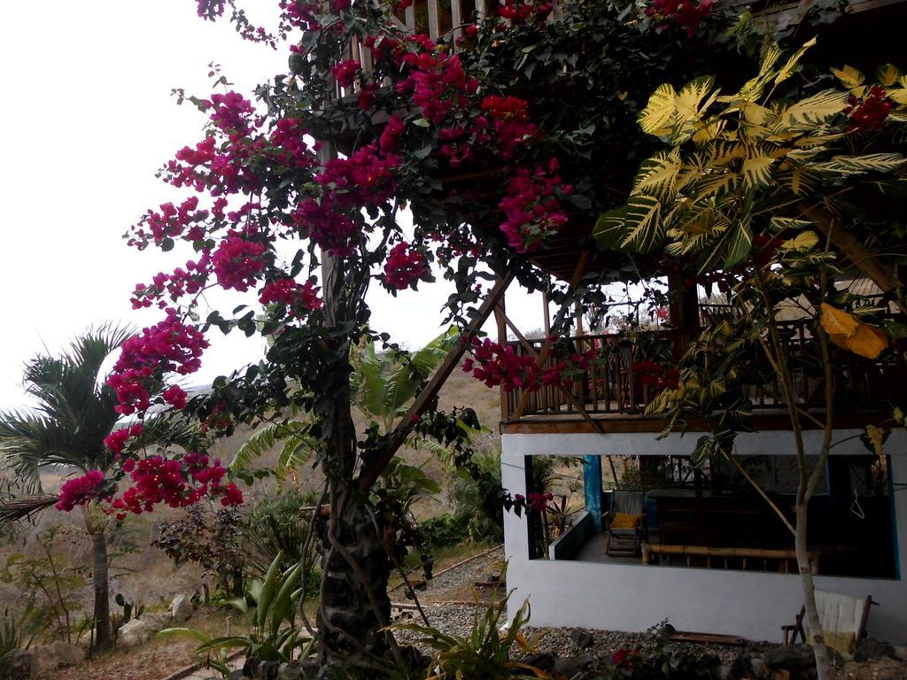 Maremonti Bed & Breakfast Puerto López Exterior foto