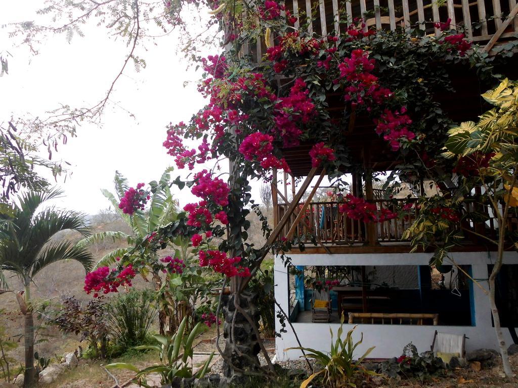 Maremonti Bed & Breakfast Puerto López Exterior foto